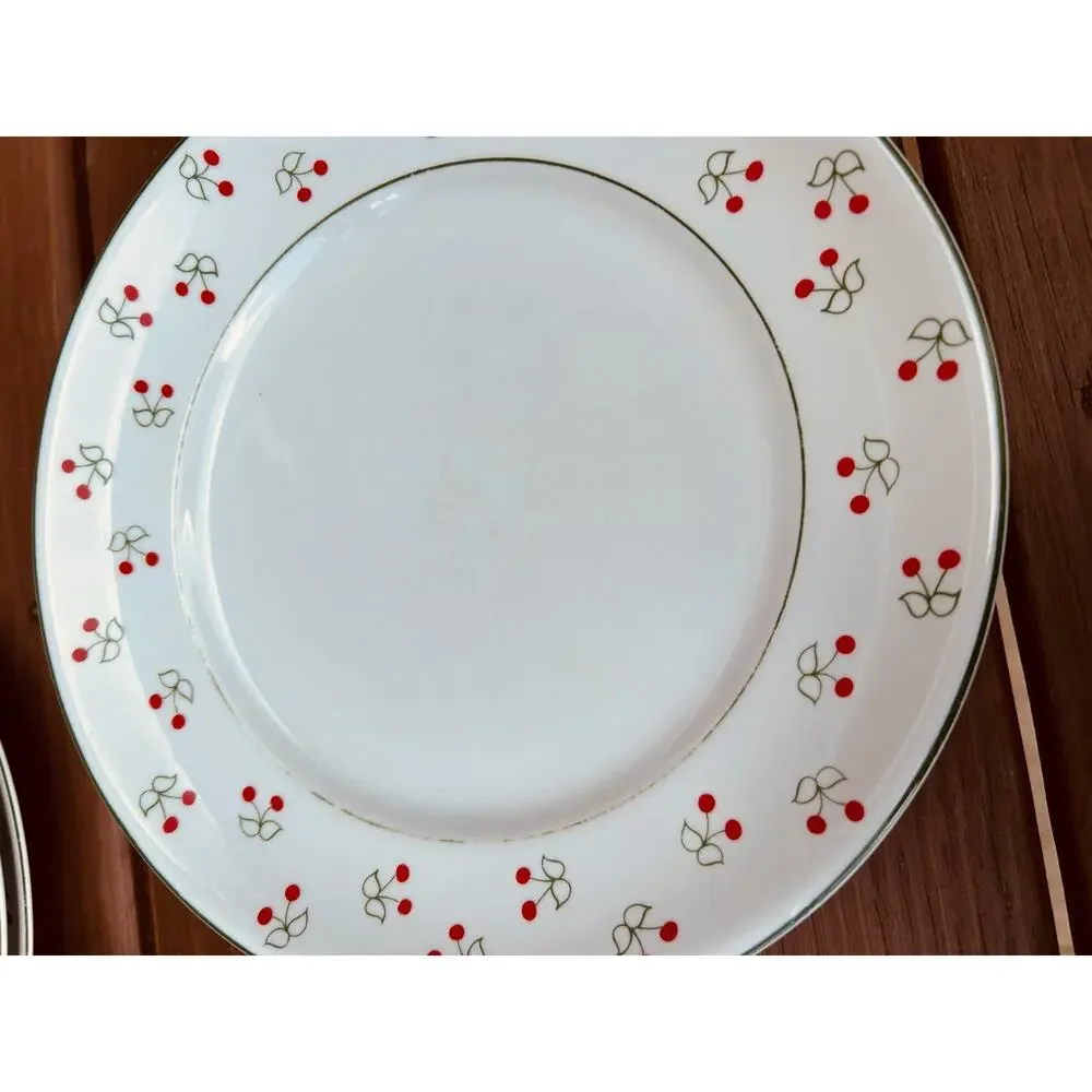 Vintage Porcelana Schmidt Brasil Cherry Pattern Dinnerware Set 16pc
